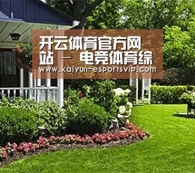 开云体育官方网站 - 电竞体育综合娱乐体验